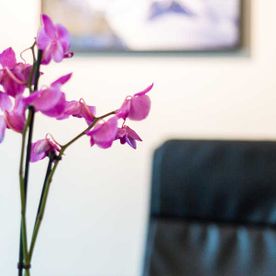 Physiotherapie Schreurs in Isselburg